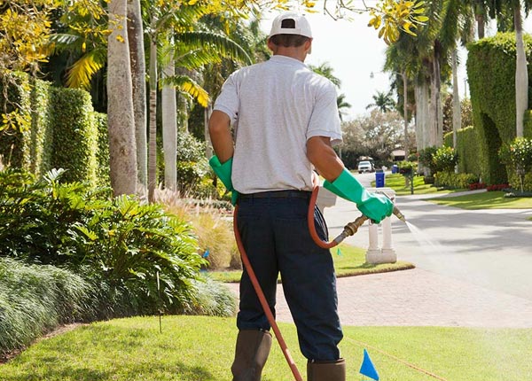 About Cornelius NC Pest Control Pros